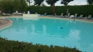 The Originals City, Hôtel La Siesta, Annonay Est (Inter-Hotel)