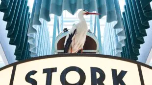 The Drunky Stork Social Club