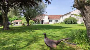 La Grande Barbotière