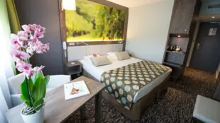 Hôtel Mercure Beaune Centre