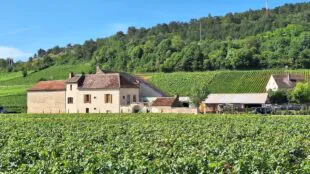 L'Ouvrée