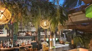 Palmito Food Market