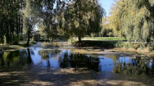 Domaine du Grand Lauron