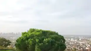 Le Moulin d'Orgemont, Restaurants - Hébergements - Evènements