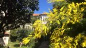 Villa Présence Toulon / La Maison du Microbiote