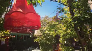 Bar à Bulles