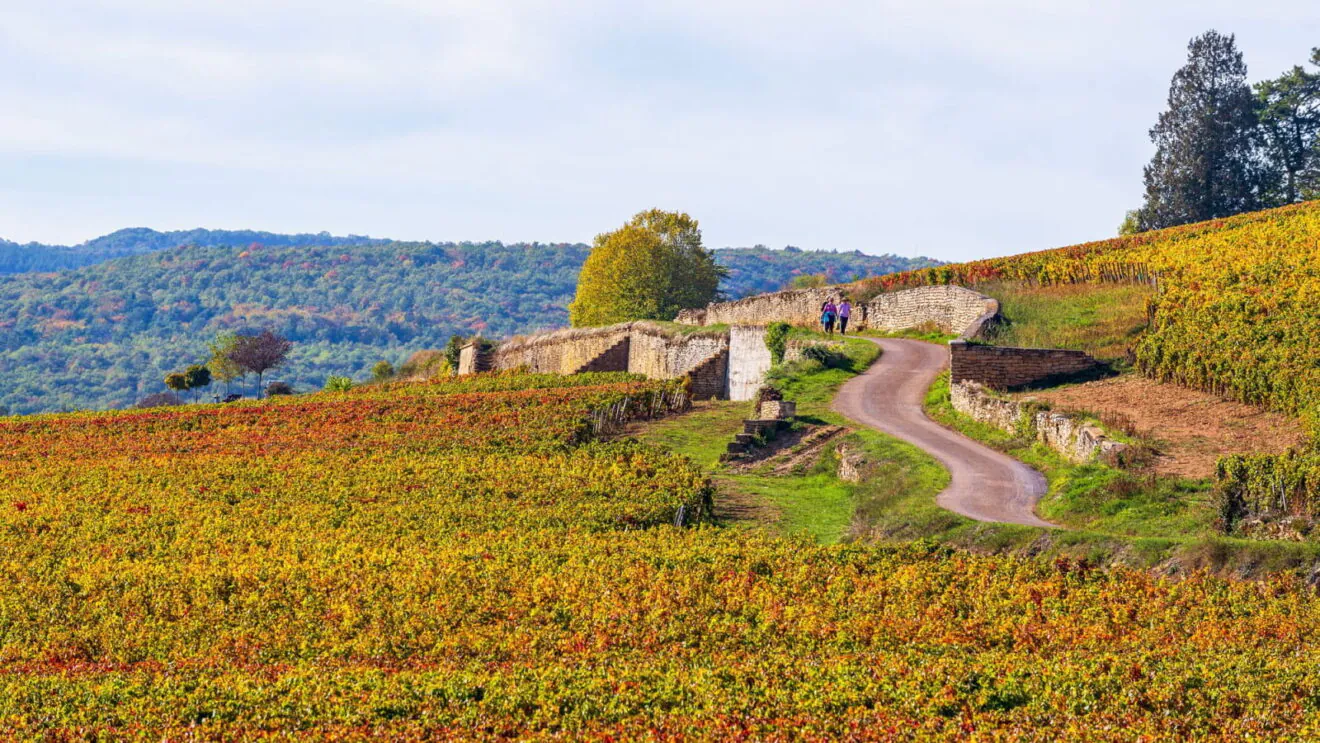 vignobles cote de beaune bfct alain doire 1600x900 1