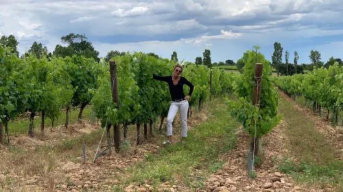 Domaine DeCalage