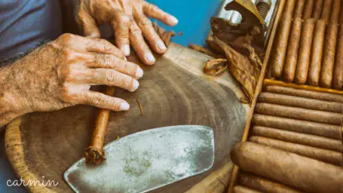 Animation cigare-Rouleur de cigare - Animation cigare - Rouleur de cigare
